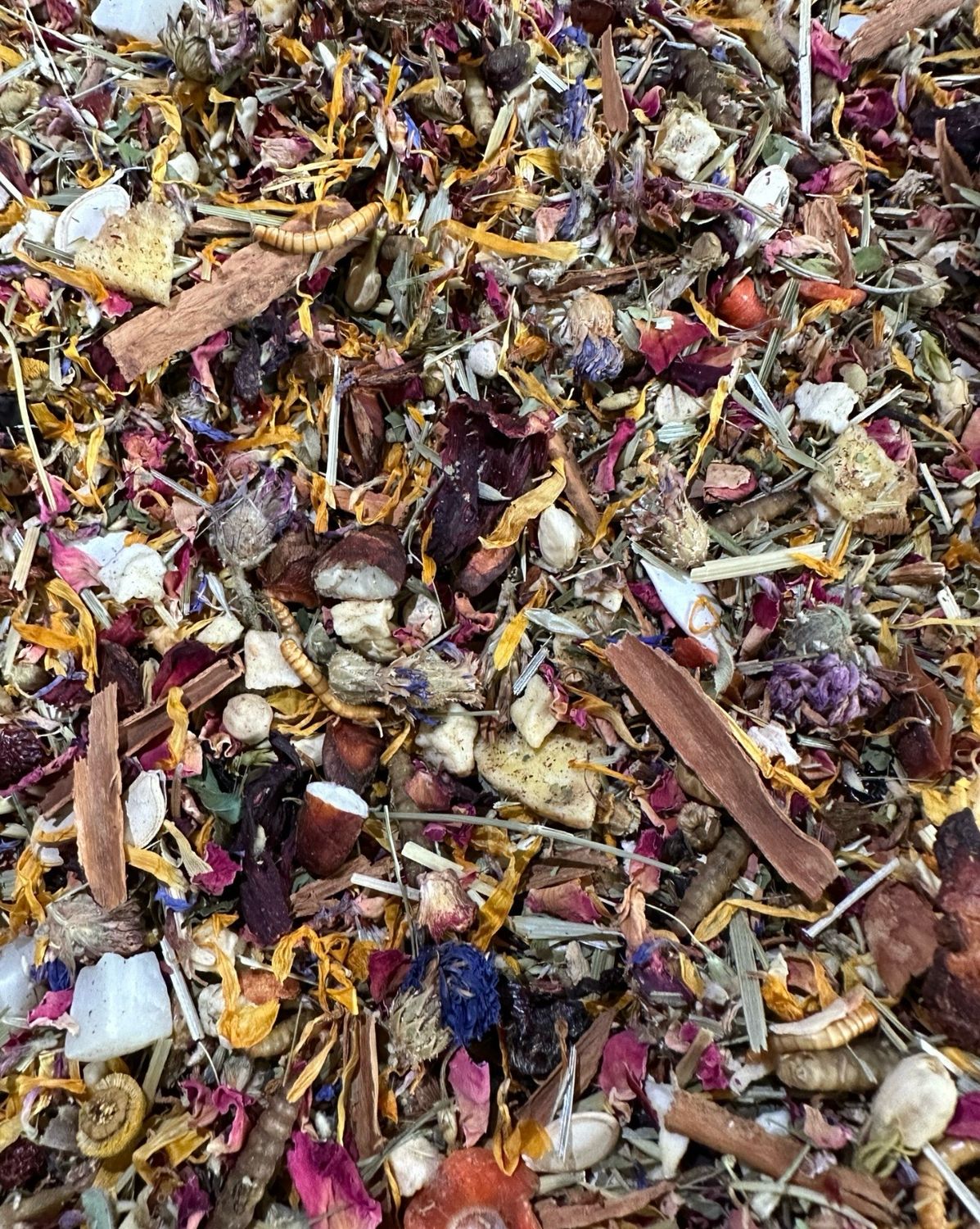 biobirdblends.company.site