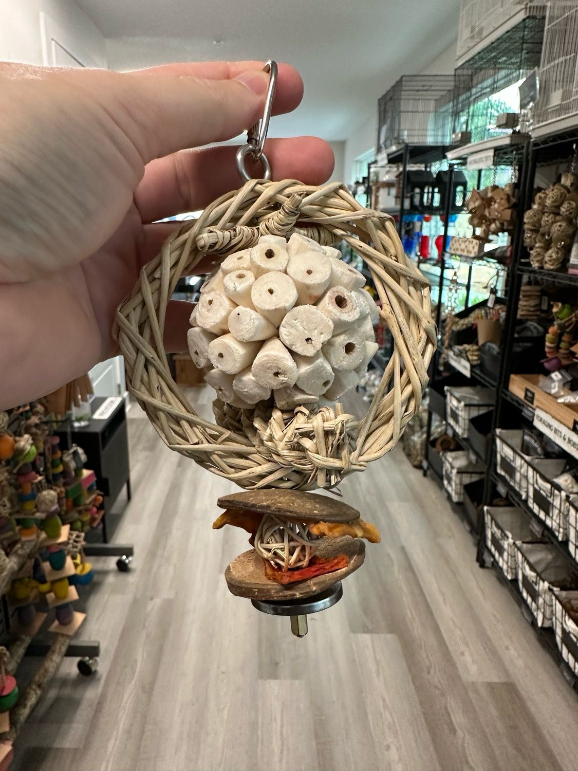 Saturn’s Ring Foraging Toy