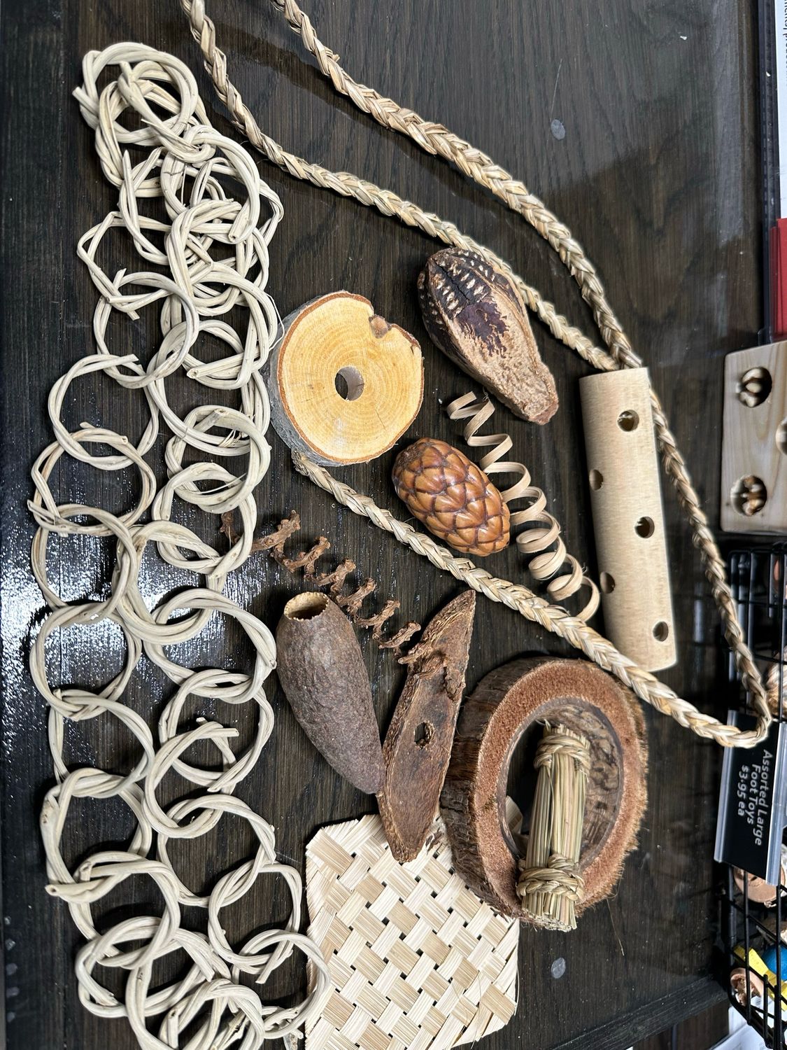 Ultimate Natural Foraging Pack