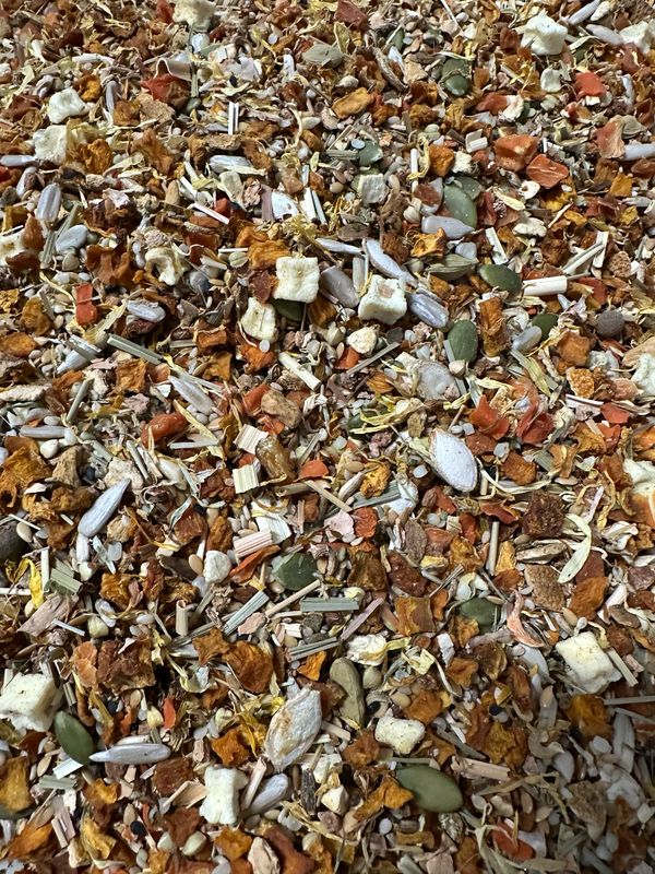 Pumpkin Spice Fusion Plus (2lb)