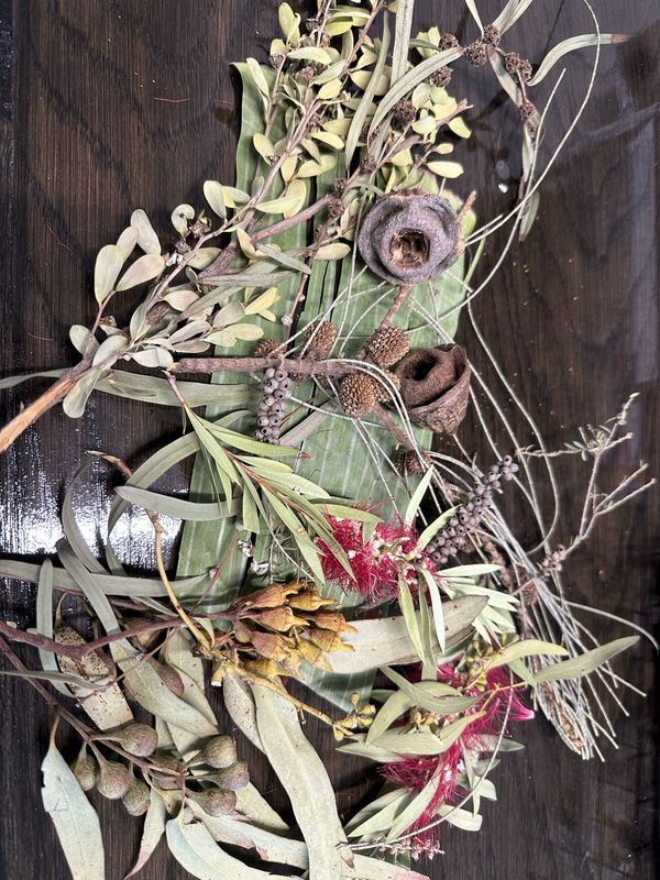 Biodiversity Go Wild Down Under! Australian Foraging Blend