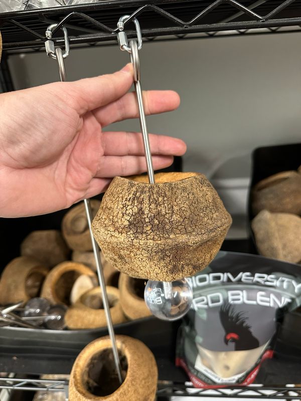 Monkeypod Foraging Pack (8” Heavy Duty Skewer For Any Size Bird)