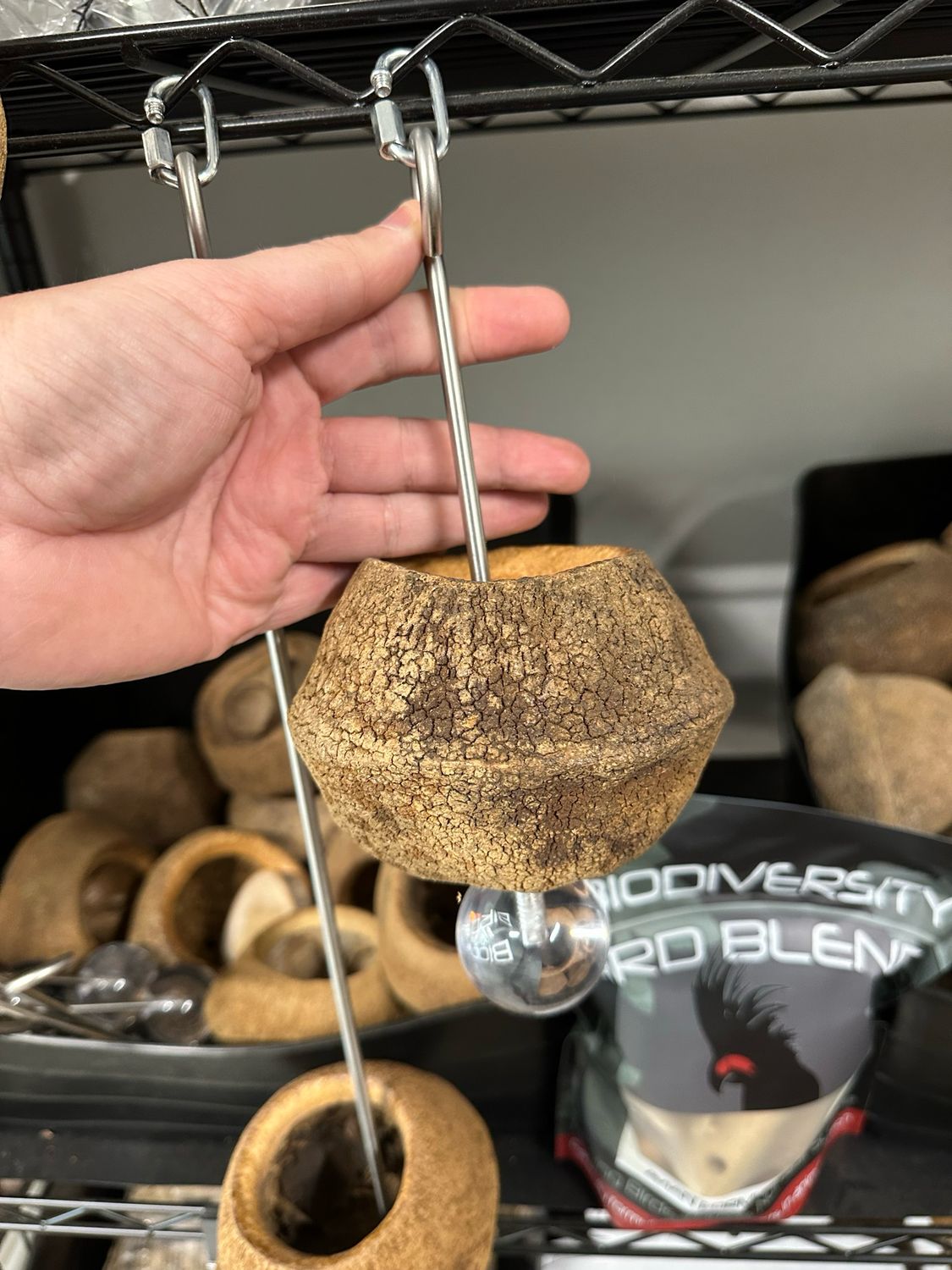 Monkeypod Foraging Pack (8” Heavy Duty Skewer For Any Size Bird)