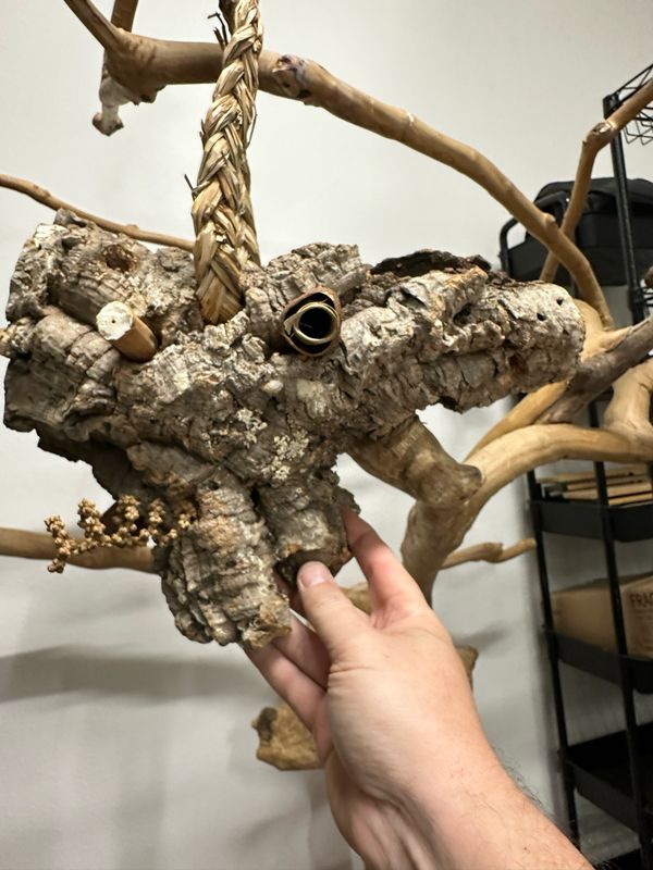 Log Roll Forager (Medium)