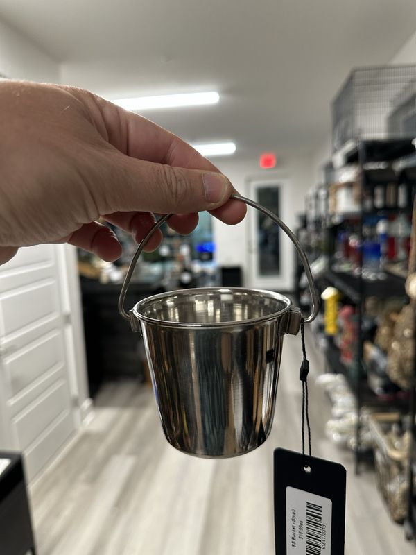Stainless Steel Foraging Bucket Medium