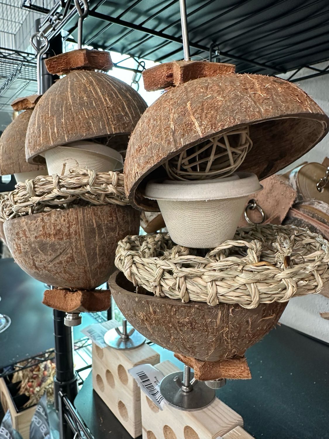 Coconut Waffle Forager (on SS skewer)