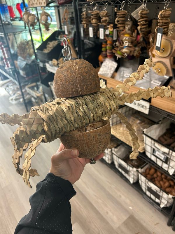 Coconut Octopus Forager (on SS skewer)