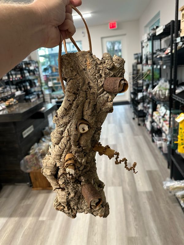 Log Roll Forager (Medium)