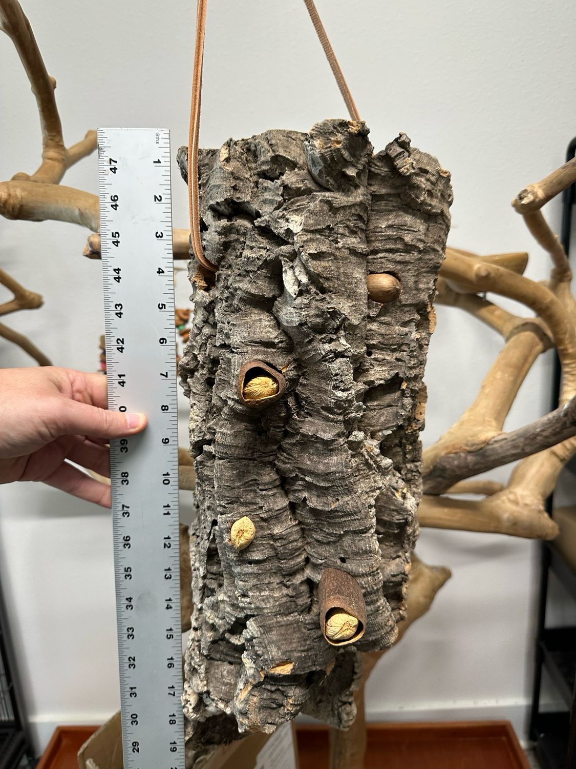 Log Roll Forager (X-Large)