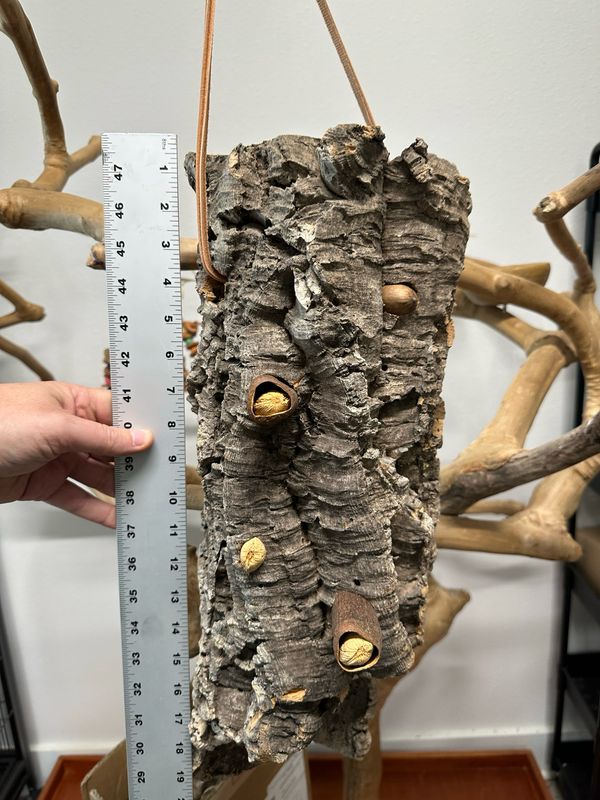 Log Roll Forager (X-Large)