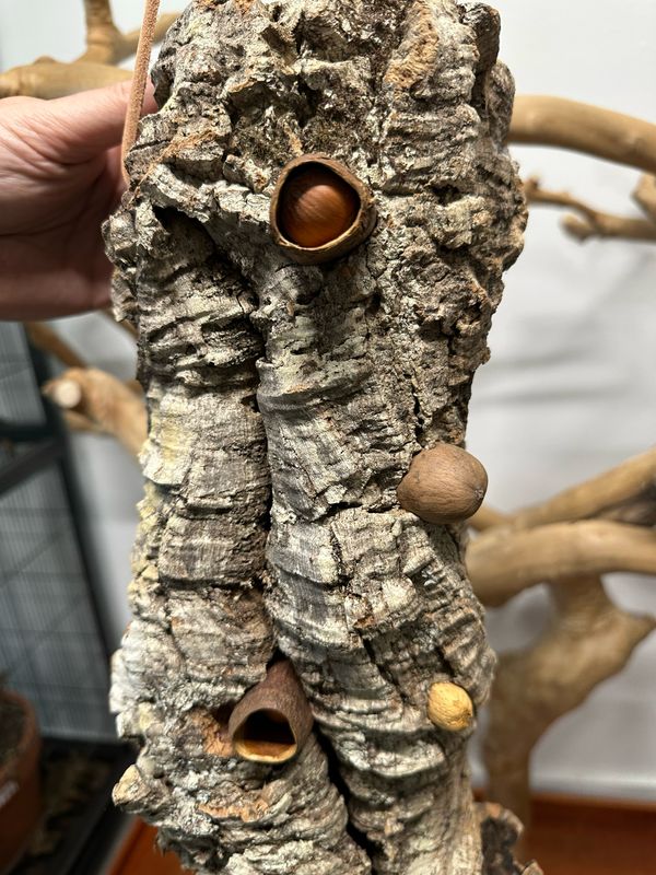 Log Roll Forager (Large)