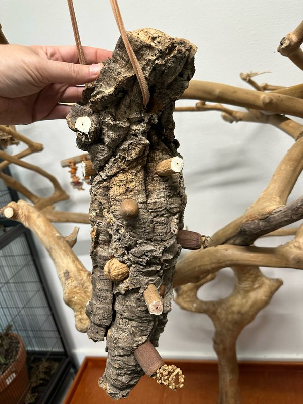 Log Roll Forager (Large)