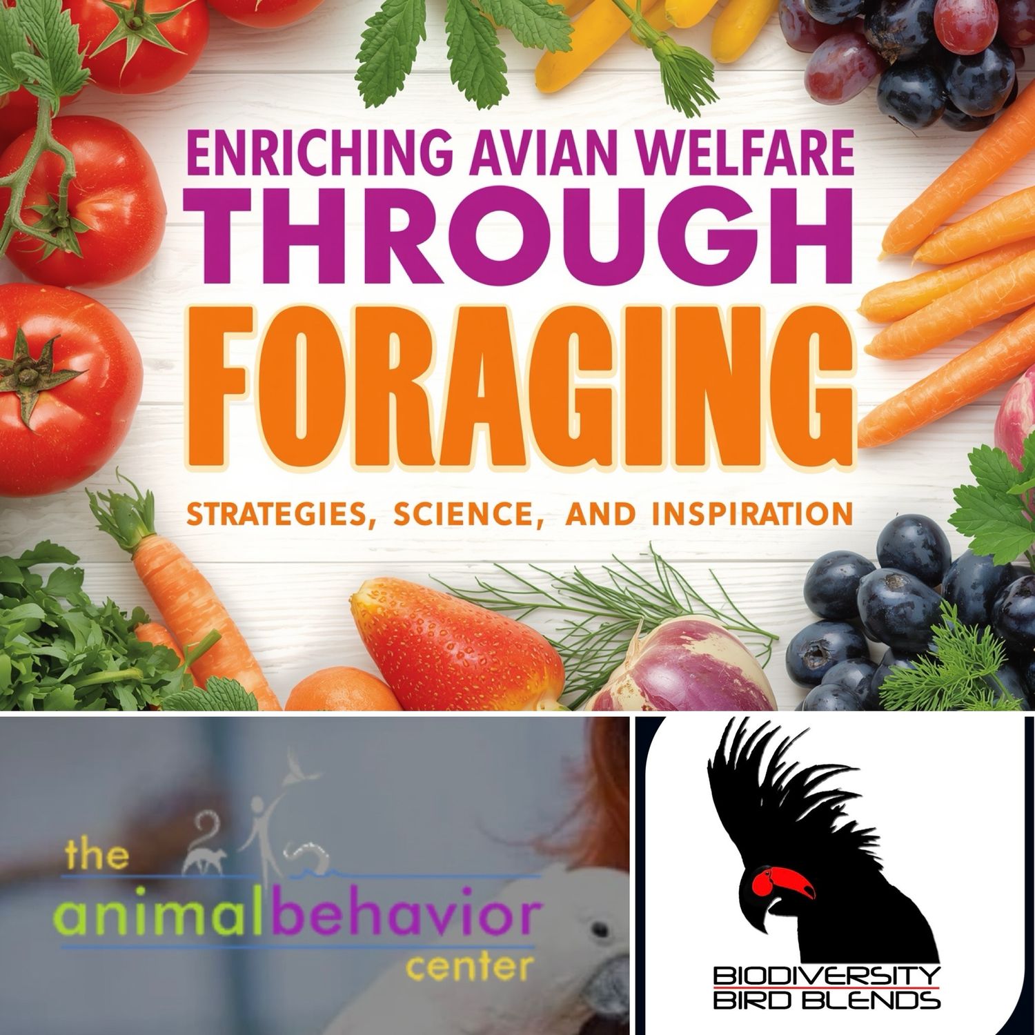Enriching Avian Welfare Through Foraging