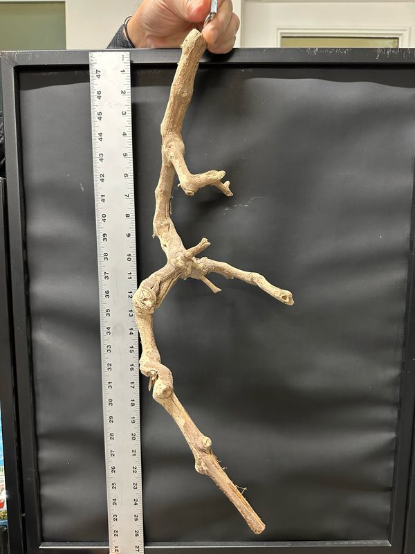 Swingin’ Sway Station Hanging Perch