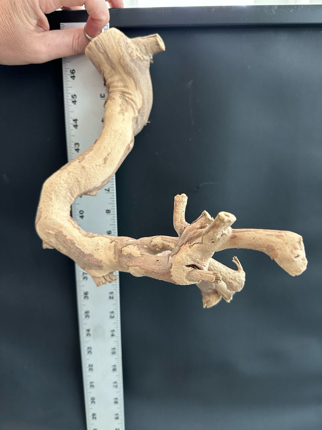 Swingin’ Sway Station Hanging Perch