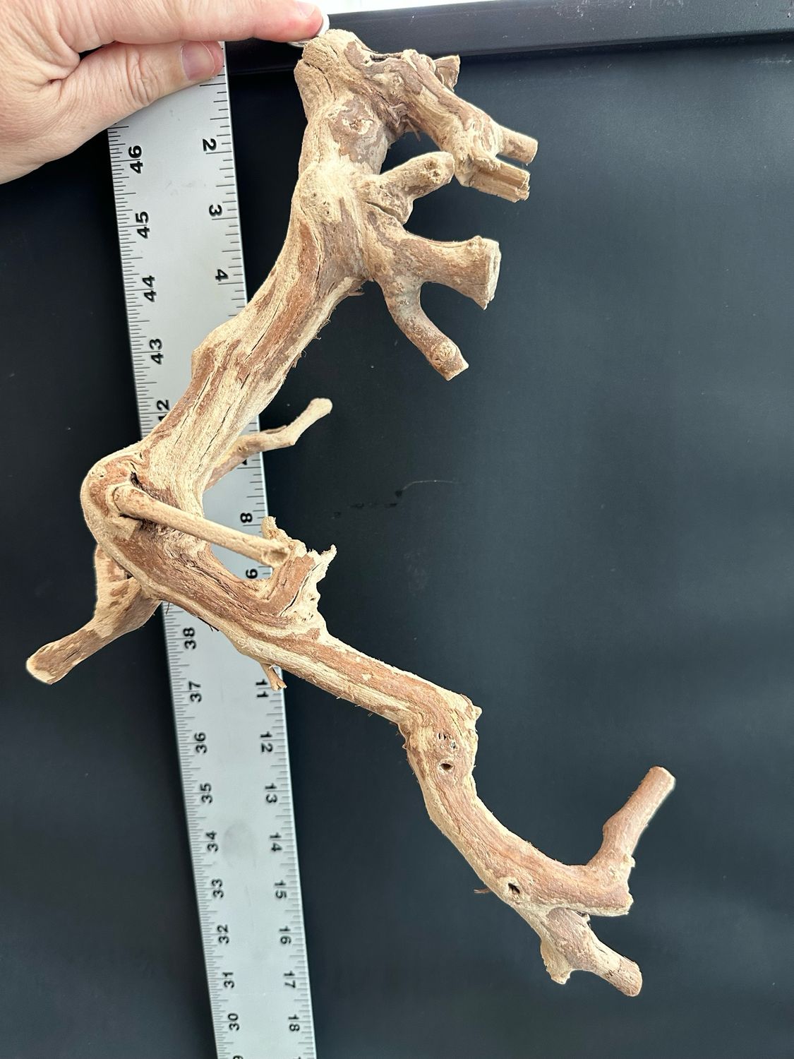 Swingin’ Sway Station Hanging Perch