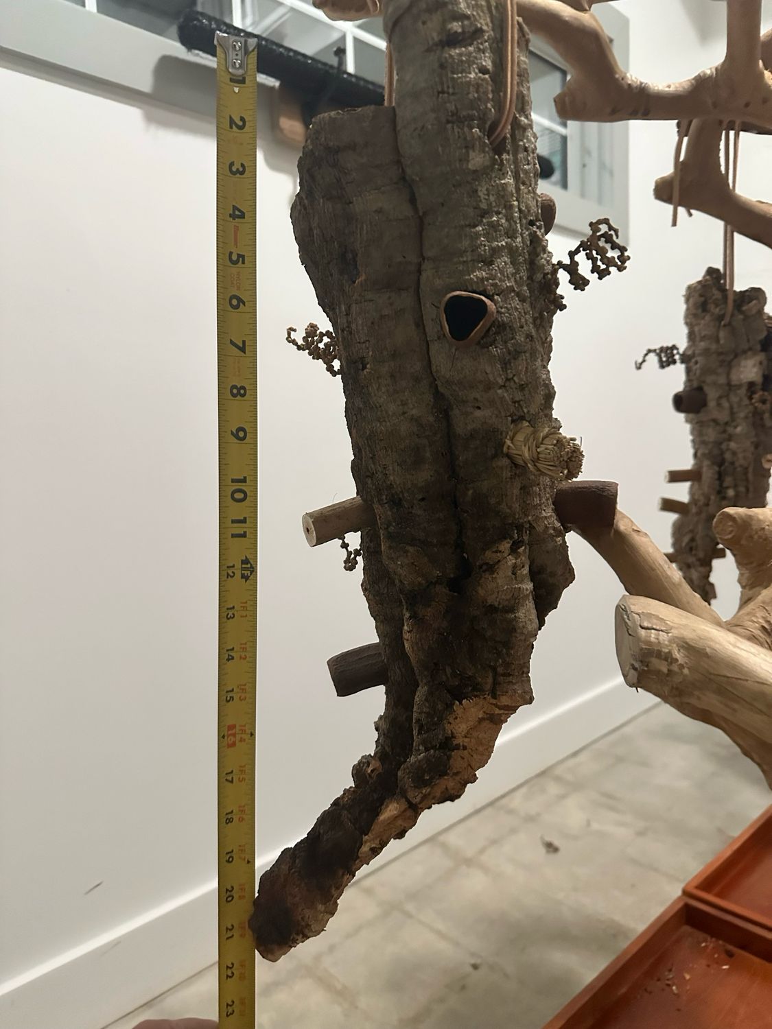 Log Roll Forager (Medium)