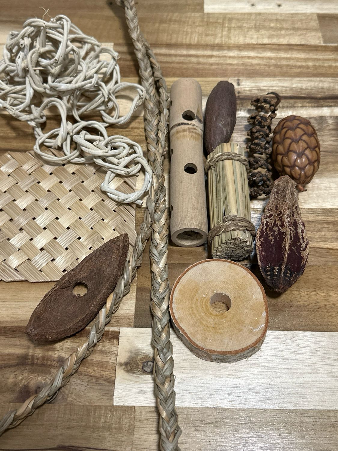 Ultimate Natural Foraging Pack