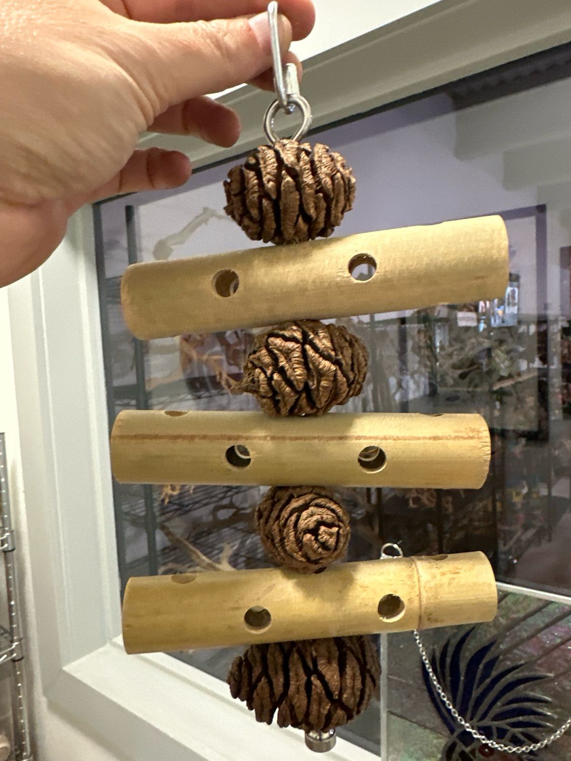 Cone Cascade Naturally Tough Forager