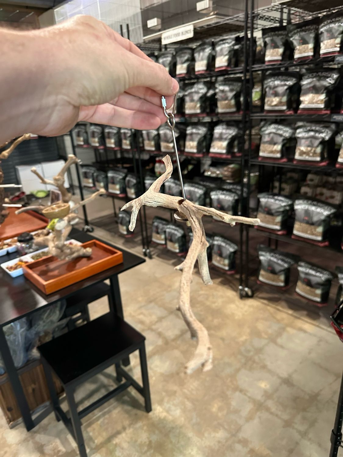 Swinging Sway Foraging Perch (Small)