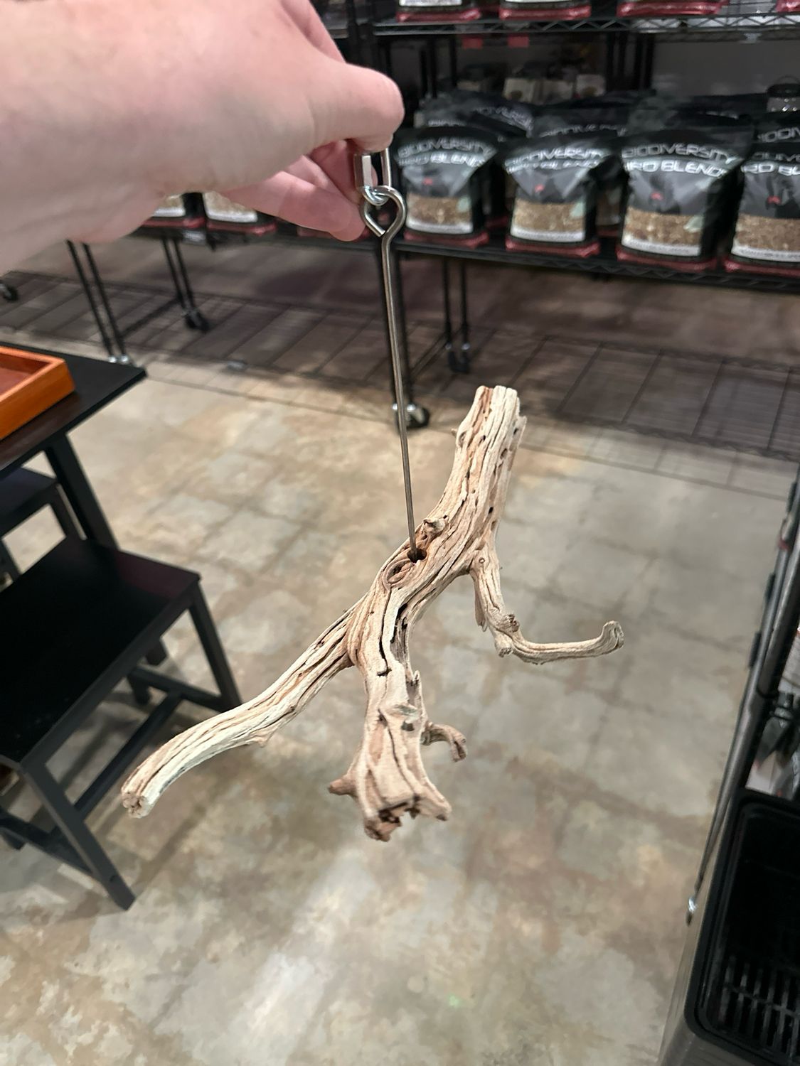 Swinging Sway Foraging Perch (Medium)