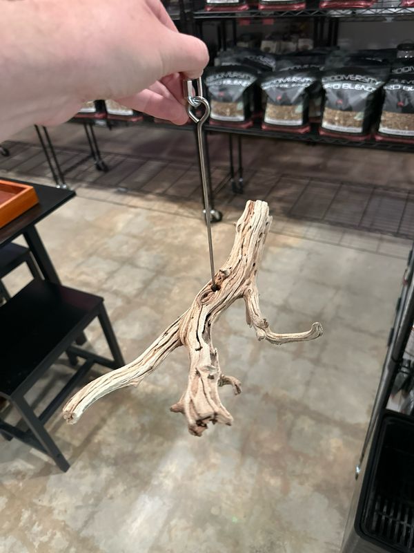 Swinging Sway Foraging Perch (Medium)