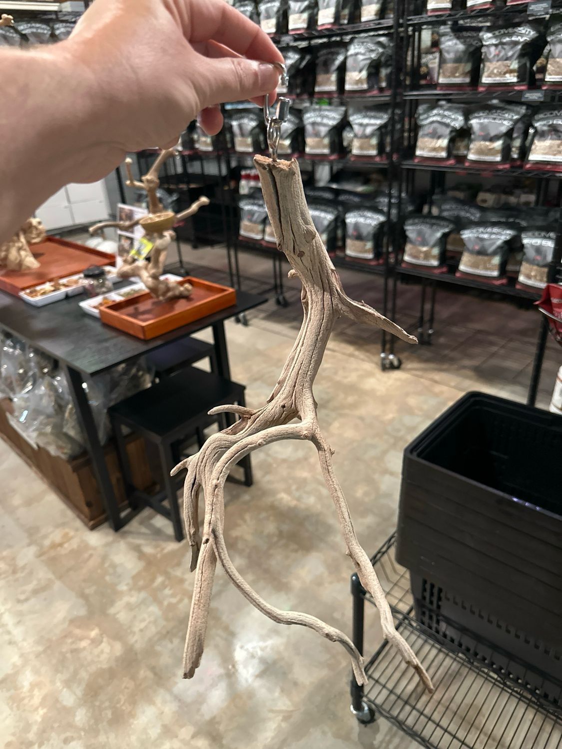 Swinging Sway Station (Medium)