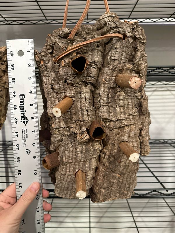 Chunky Corkwood Climbing Wall (Medium-Large)