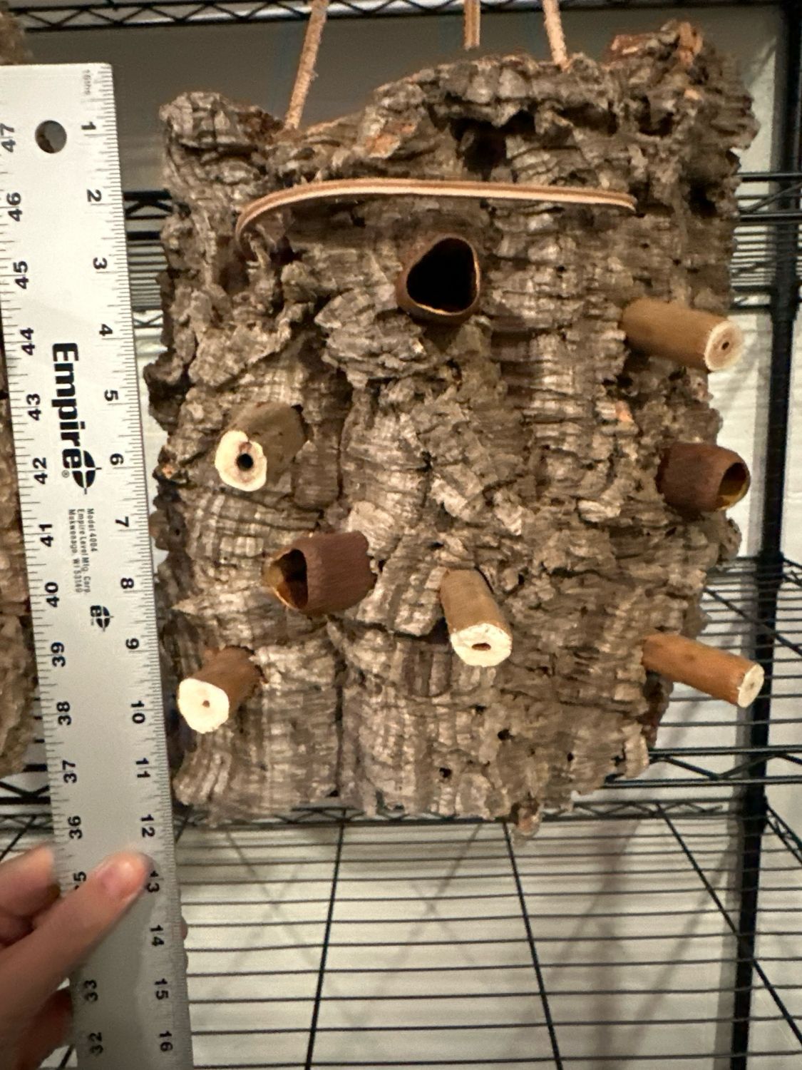 Chunky Corkwood Climbing Wall (Medium-Large)