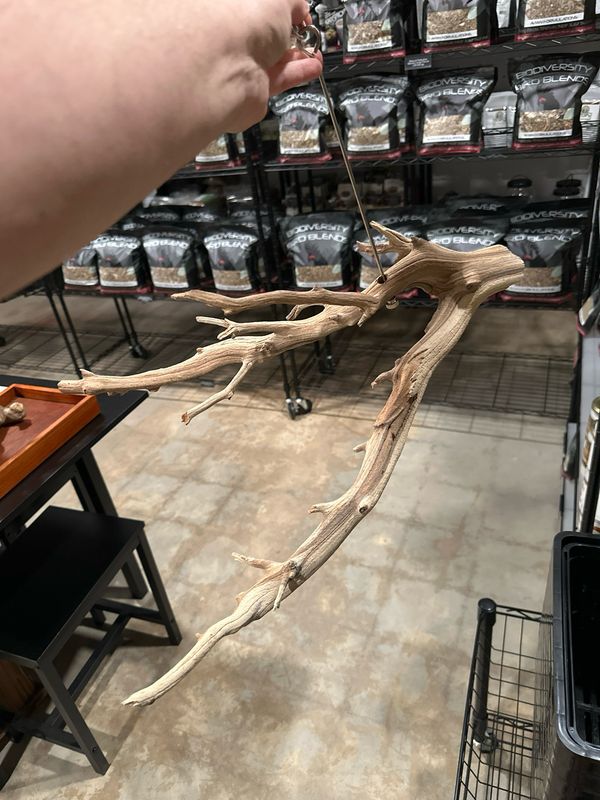 Swinging Sway Foraging Perch (Large)