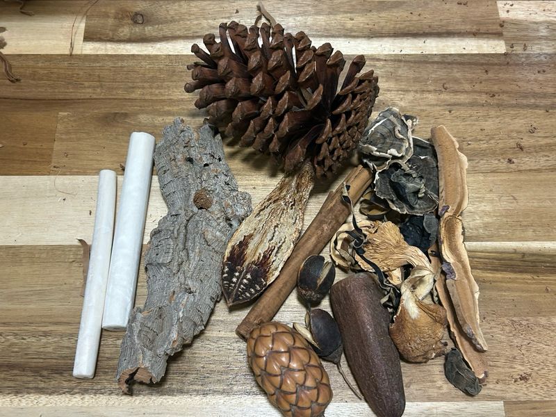 Biodiversity Forest Foraging Pack