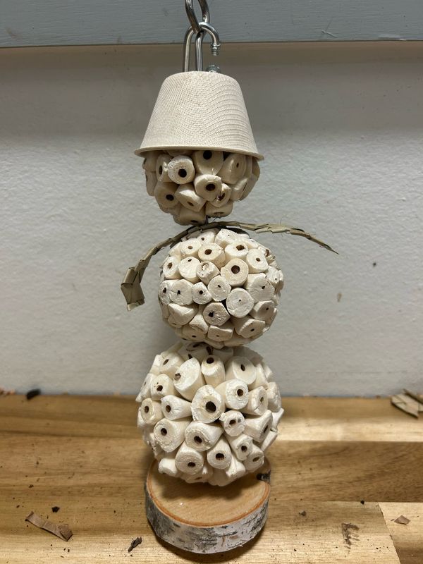 SNola-Man Foraging Toy