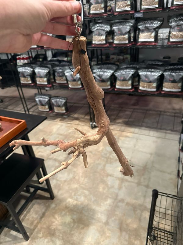 Swinging Sway Station (Medium)