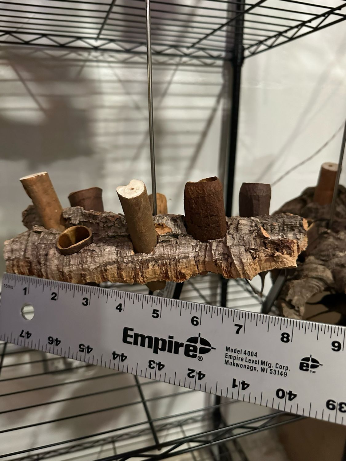 Corkwood Foraging Platform Perch