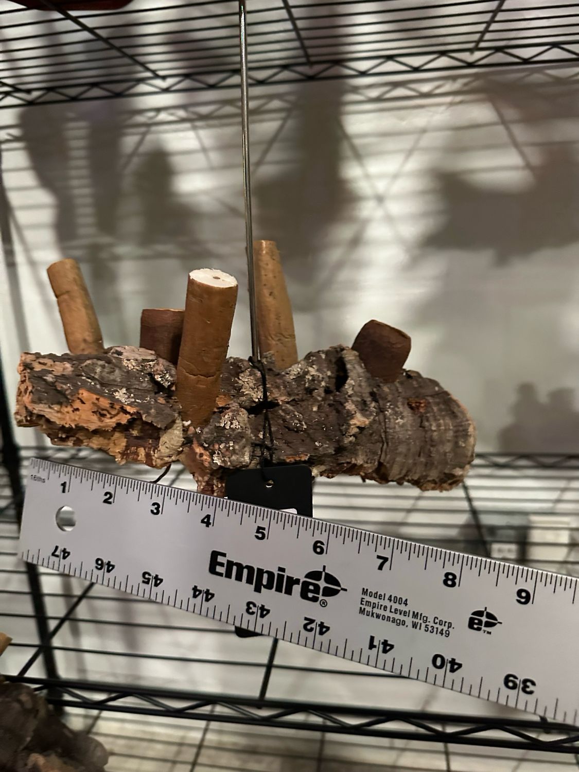 Corkwood Foraging Platform Perch