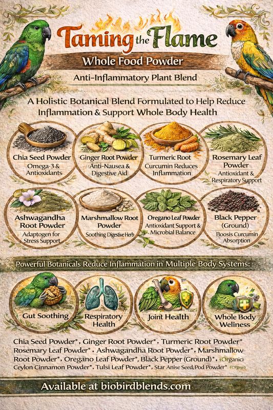 Biodiversity Taming the Flame Powder 4oz Biodiversity Taming the Flame Powder 4oz