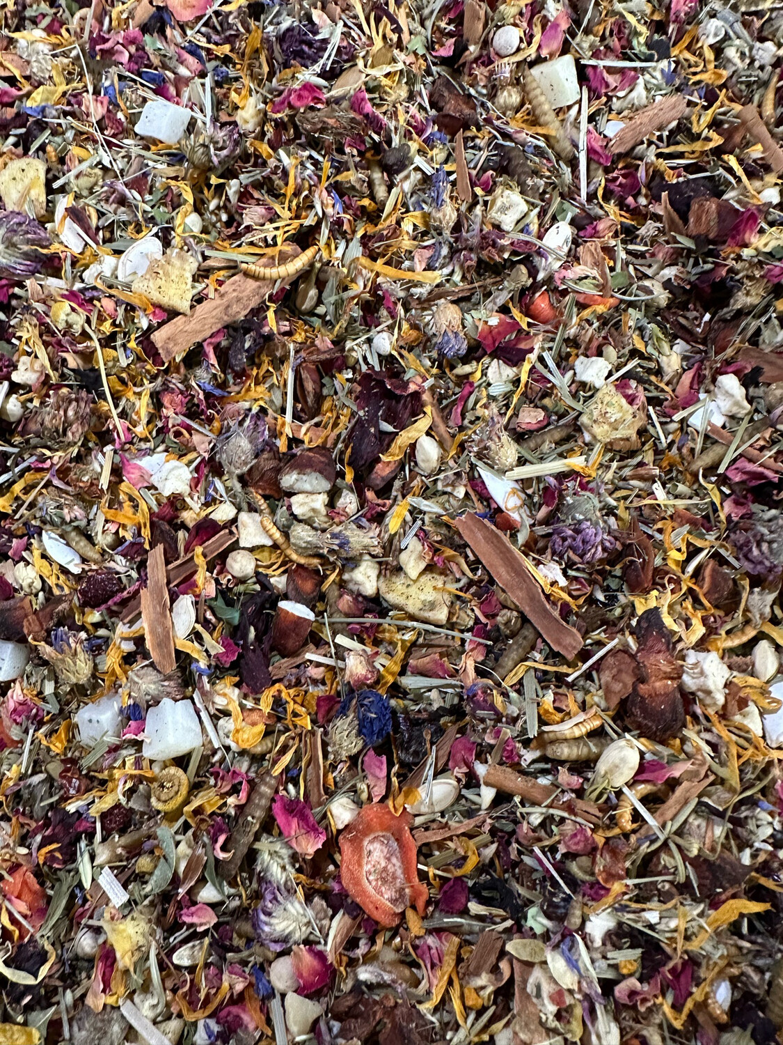 Biodiversity Go Wild! Conservation Foraging Blends (Sm-Med Birds) (8oz bag)