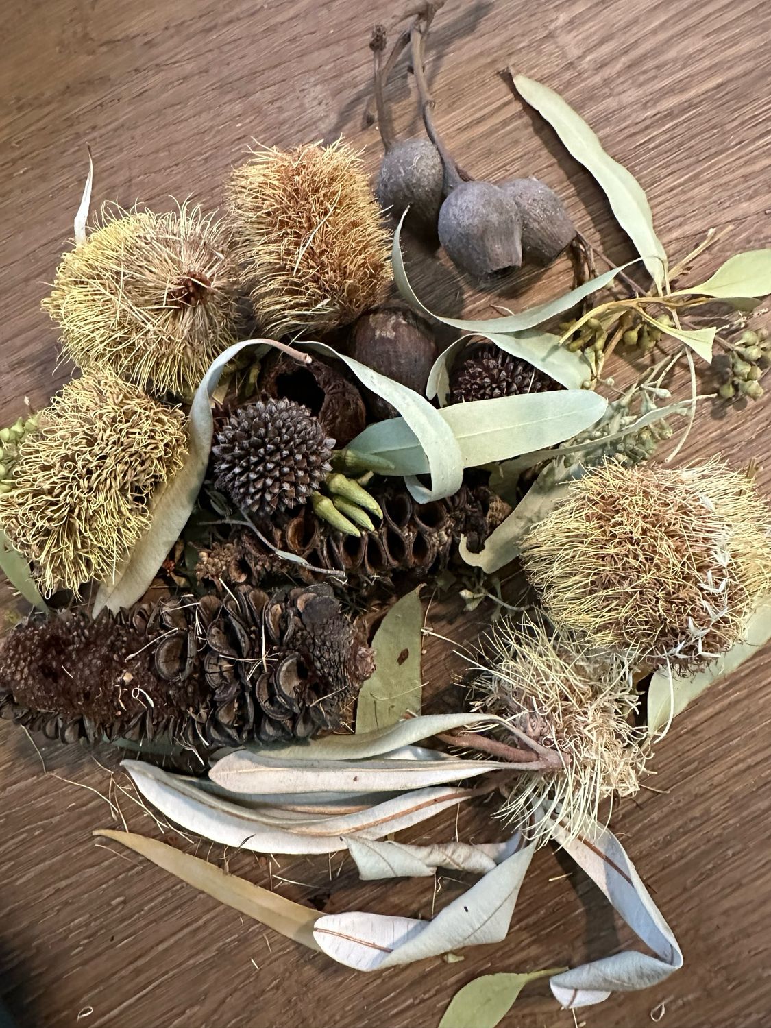 Biodiversity Go Wild Down Under! Australian Foraging Blend ‘Too!