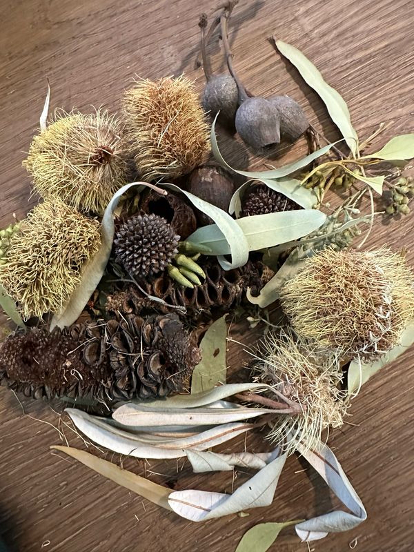 Biodiversity Go Wild Down Under! Australian Foraging Blend ‘Too!