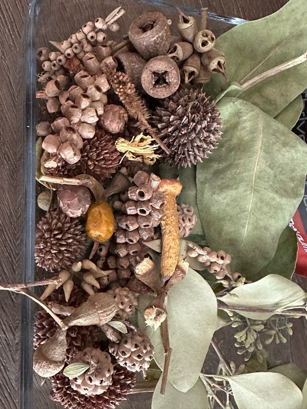 Biodiversity Go Wild! CHUNKY Down Under! Australian Foraging Blend (5oz or more!)