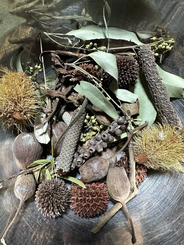 Biodiversity Go Wild! CHUNKY Down Under! Australian Foraging Blend (5oz or more!)