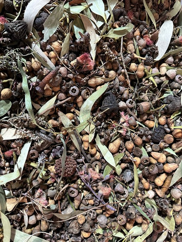 Biodiversity Go Wild! CHUNKY Down Under! Australian Foraging Blend (5oz or more!)