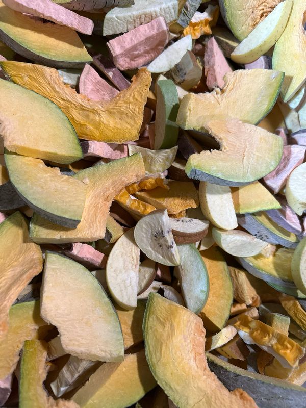 Biodiversity Bird Blissful Bounty Autumn Blend (Chunked pieces with a mini-pumpkin half)