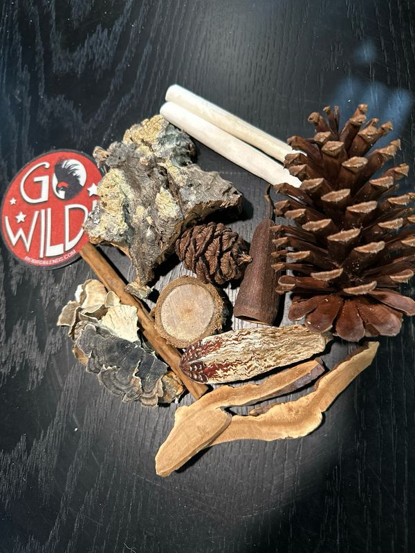 Biodiversity Forest Foraging Pack