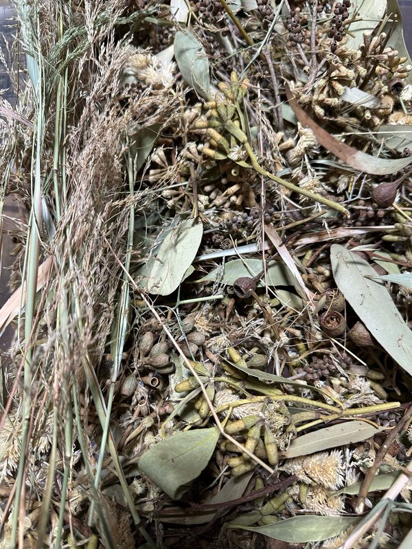 Biodiversity Go Wild! CHUNKY Down Under! Small Australian Foraging Blend (4oz or more!)