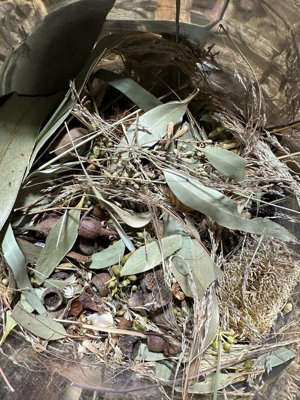 Biodiversity Go Wild! Small CHUNKY Down Under! Australian Foraging Blend (5oz or more!)