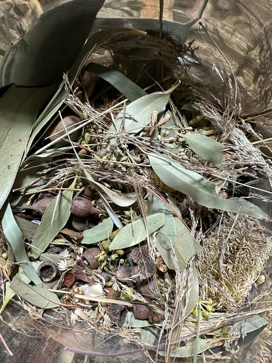 Biodiversity Go Wild! Small CHUNKY Down Under! Australian Foraging Blend (5oz or more!)