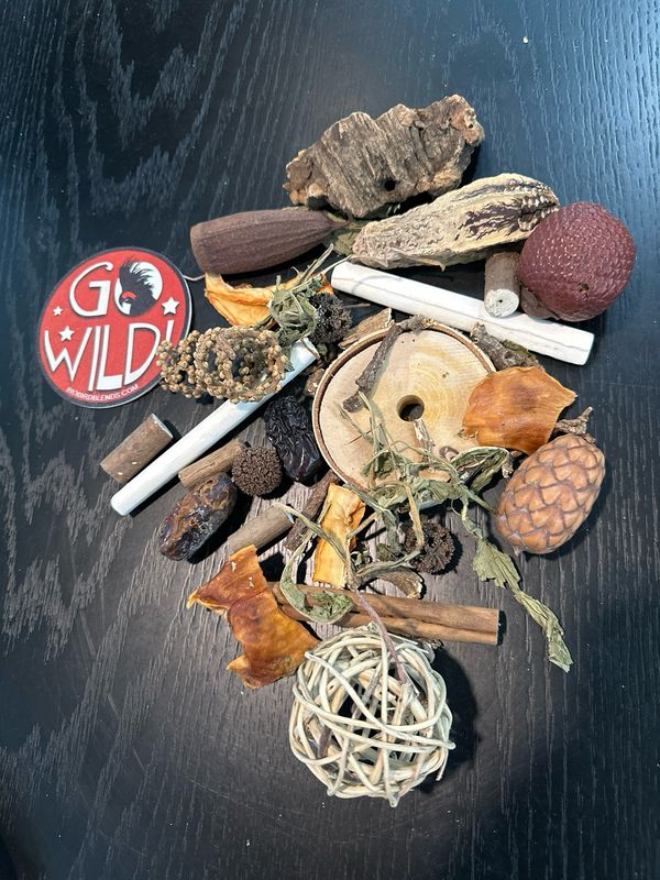 Fall Forest Forage