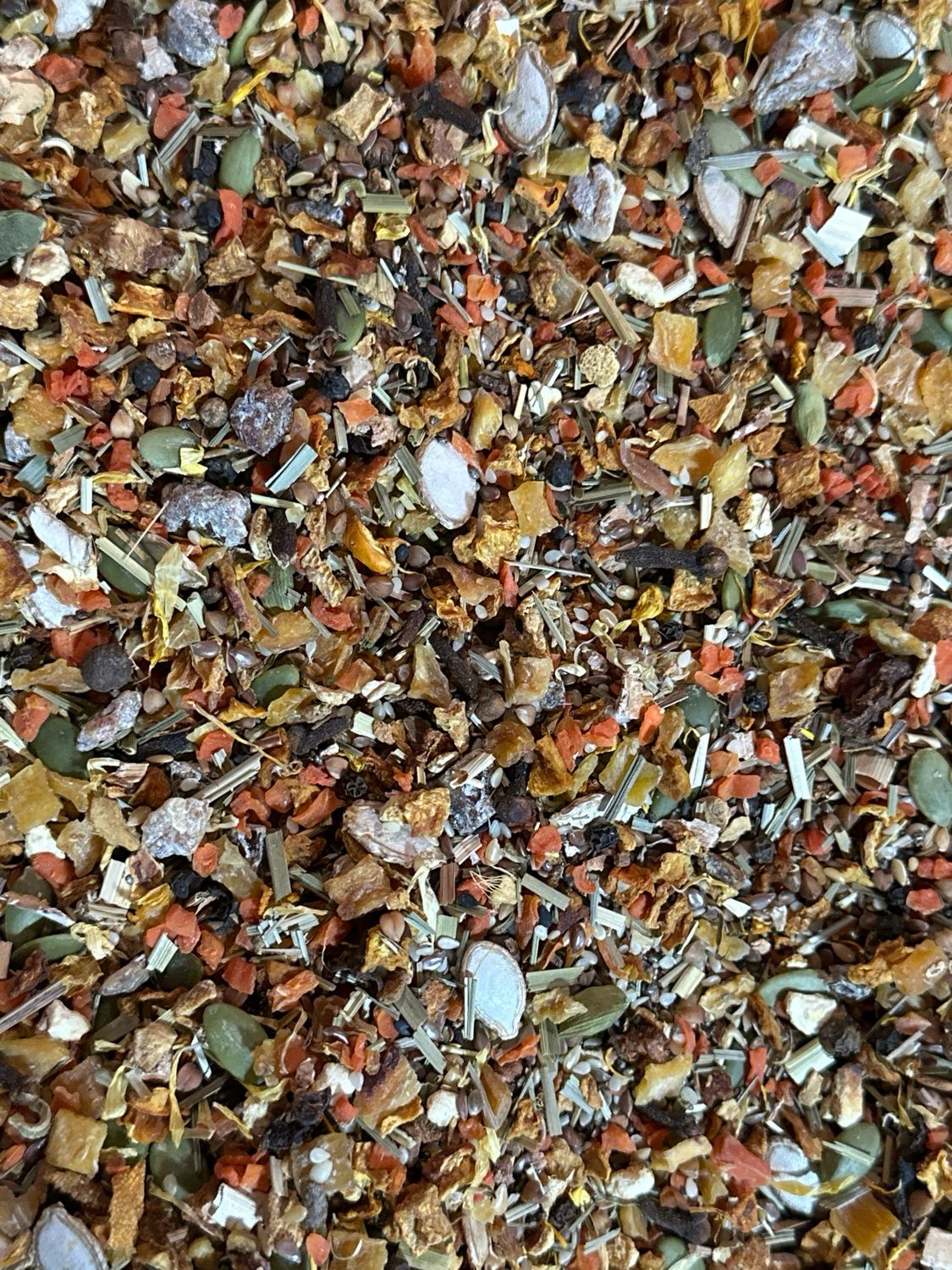Pumpkin Spice Fusion Plus (16oz)