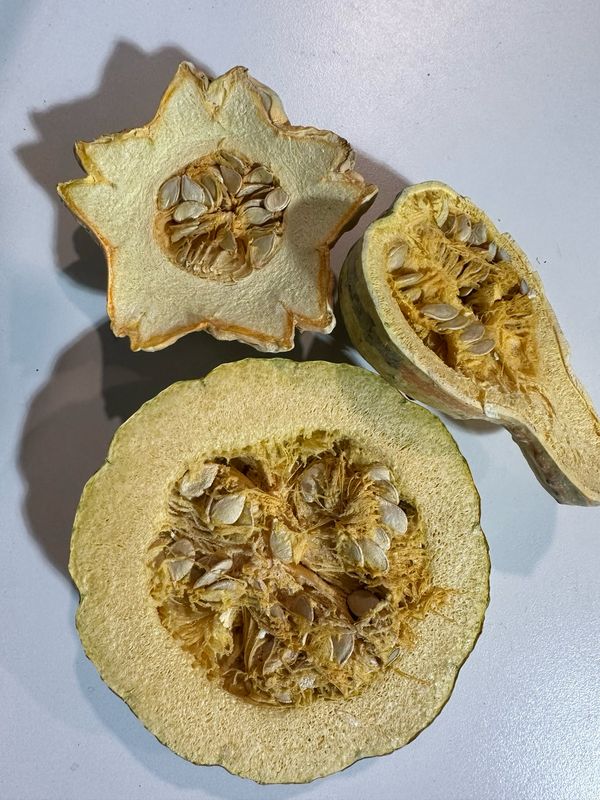 Biodiversity Autumn Bounty